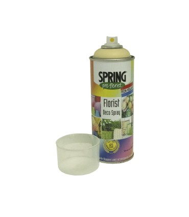 Spray deco 400 ML Champagne Spring