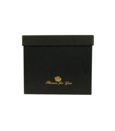 BOX Variados Con Tapa Cuadrada Inf B050 18.5 x 18.5 CM