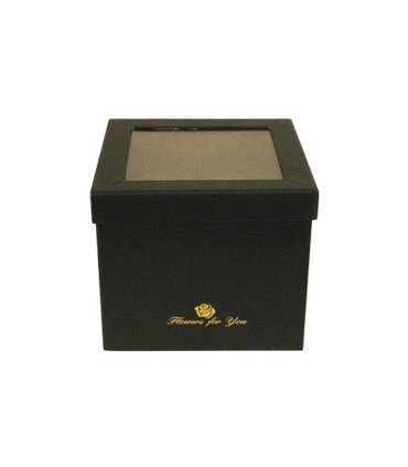 BOX Variados Con Tapa Cuadrada Inf B050 18.5 x 18.5 CM