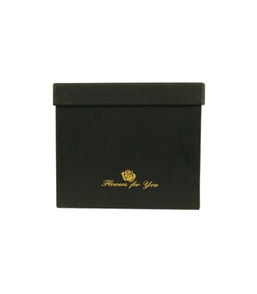 BOX Variados Con Tapa Cuadrada Inf B050 18.5 x 18.5 CM