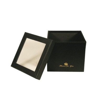 BOX Variados Con Tapa Cuadrada Inf B050 18.5 x 18.5 CM