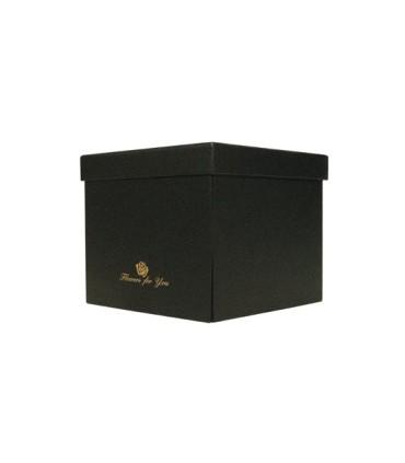 BOX Variados Con Tapa Cuadrada Inf B050 18.5 x 18.5 CM