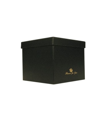 BOX Variados Con Tapa Cuadrada Inf B050 18.5 x 18.5 CM