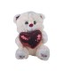 Oso Peluche 28 CM varios