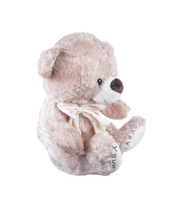 Oso Peluche 40 CM varios Colores