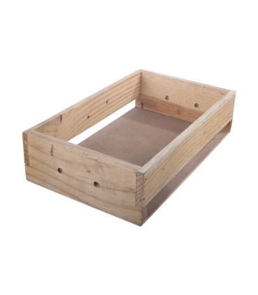 canasta única orquídea