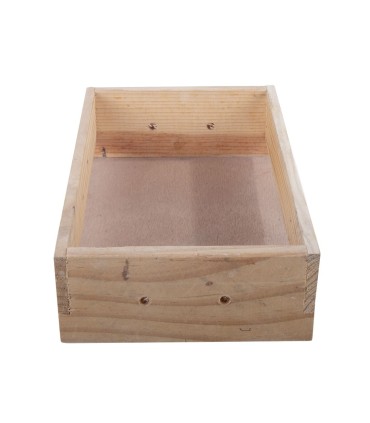 canasta única orquídea