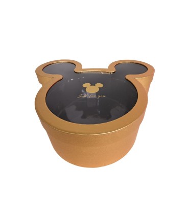 Box cara micke mouse M