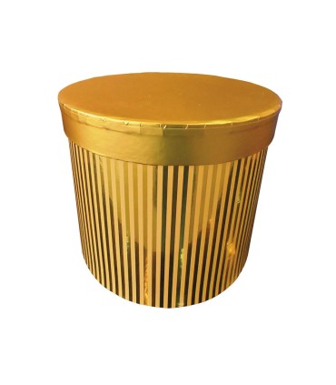 Box Redonda Brillante