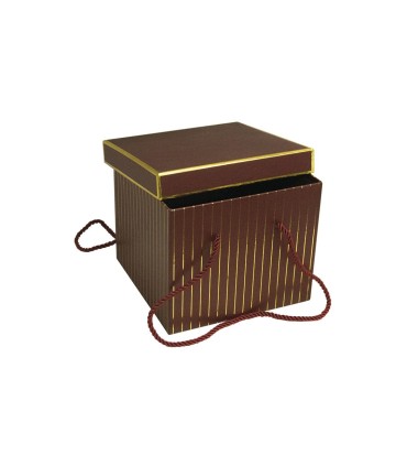 Box Variados Con Tapa C