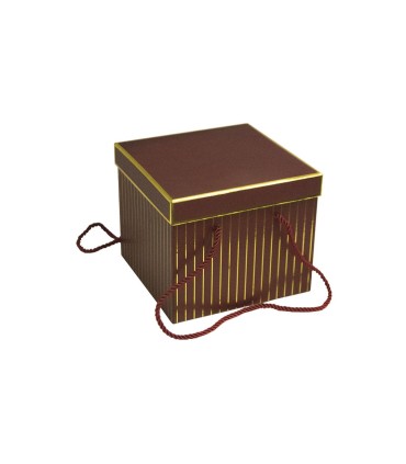 Box Variados Con Tapa C