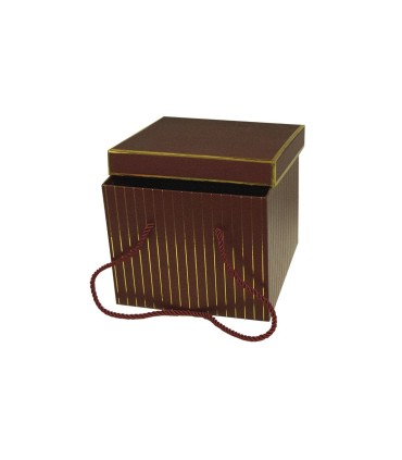 Box Variados Con Tapa C