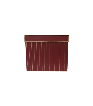 Box Variados Con Tapa C