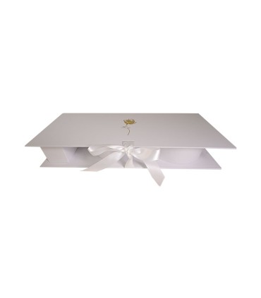 Box rectangular 65x25x10 cm  W2236