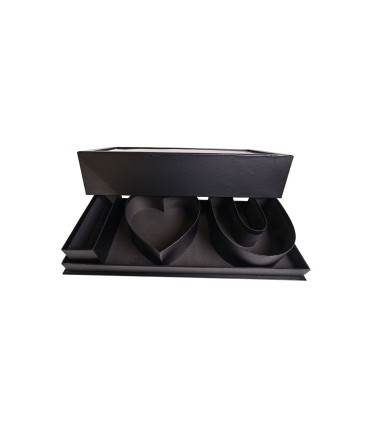 BOX RECTANGULAR 46X19.5 X 10 CM