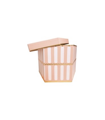 Box Colores Variados W6675