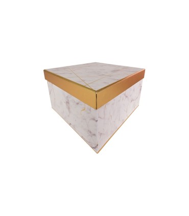 Box variados con tapa de raya cuadrado