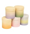 Box Circular Bicolor C/Tapa