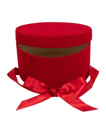 Box con tapa redondo W9819 L 22 5x11