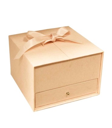 BOX Con Tapa De Abertura