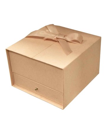 BOX Con Tapa De Abertura