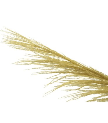 Pampa grass pendones