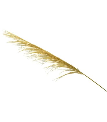 Pampa grass pendones