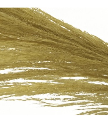 Pampa grass pendones