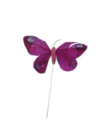 Mariposa Surtida Media