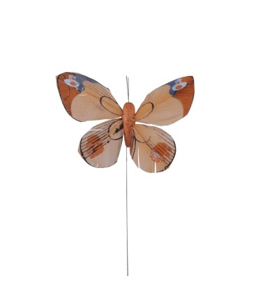 Mariposa Surtida Media