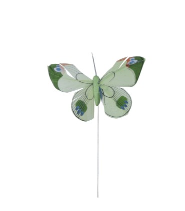Mariposa Surtida Media
