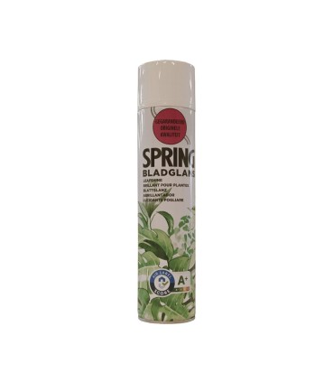 Spray leaf shine 600 ML spring