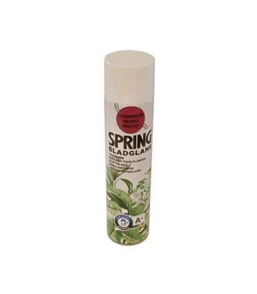 Spray leaf shine 600 ML spring